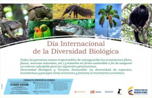 Lee más sobre el artículo Día Internacional de la Diversidad Biológica