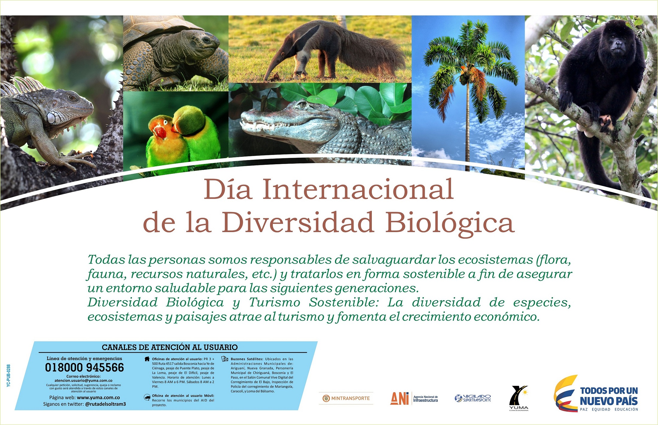 En este momento estás viendo Día Internacional de la Diversidad Biológica