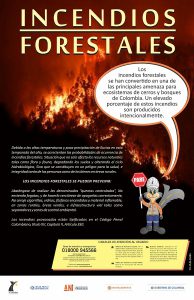 Lee más sobre el artículo Incendios Forestales