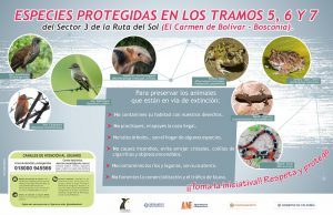 Lee más sobre el artículo Especies protegidas en los tramos 5, 6 y 7. Carmen de Bolívar – Bosconia
