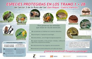 Lee más sobre el artículo Especies protegidas en los tramos 1 + 2B. San Roque – Cuatro Vientos