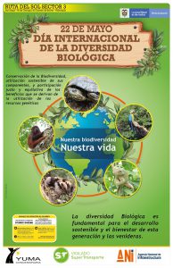 Lee más sobre el artículo Día internacional de la Diversidad Biológica