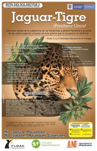 Lee más sobre el artículo Jaguar – Tigre (Panthera Onca)