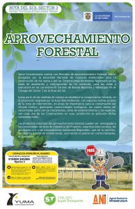 Lee más sobre el artículo Aprovechamiento Forestal