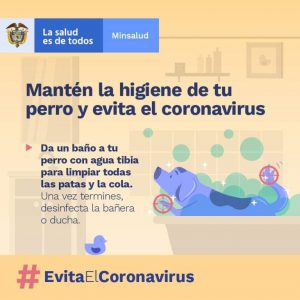 Lee más sobre el artículo Mantén la higiene de tu perro y evita el coronavirus