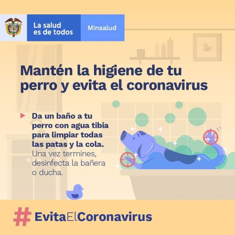 En este momento estás viendo Mantén la higiene de tu perro y evita el coronavirus