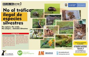Lee más sobre el artículo No al tráfico ilegal de especies silvestres