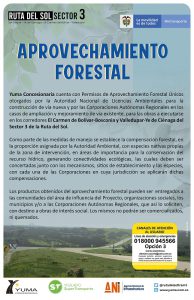Lee más sobre el artículo Aprovechamiento forestal