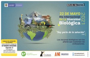 Lee más sobre el artículo Día Internacional Diversidad Biológica