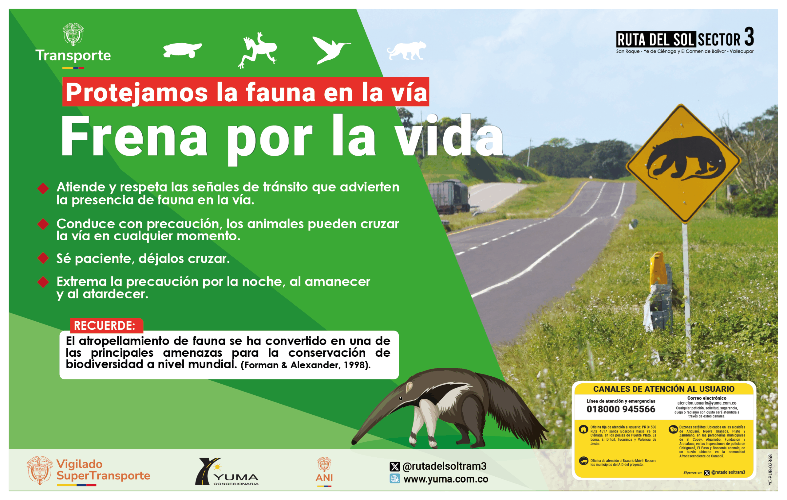 Lee más sobre el artículo Protejamos la fauna en la vida ¡Frena por la vida!