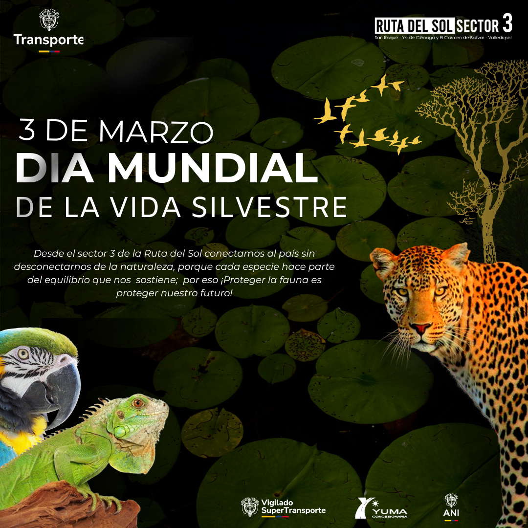 Lee más sobre el artículo 3 Marzo – Dia mundial de la vida Silvestre