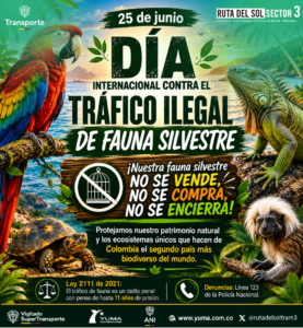 Lee más sobre el artículo DÍA INTERNACIONAL CONTRA EL TRÁFICO ILEGAL DE FAUNA SILVESTRE