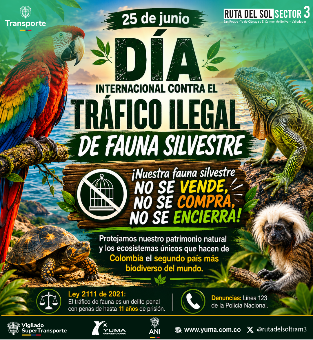 Lee más sobre el artículo DÍA INTERNACIONAL CONTRA EL TRÁFICO ILEGAL DE FAUNA SILVESTRE