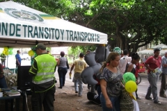 Festival Vallenato 2011