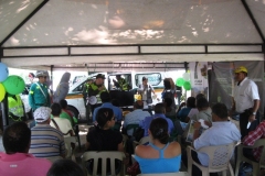 festival-67