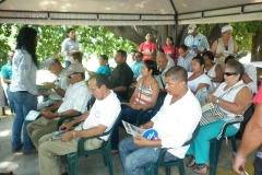 festival-2013-8