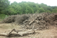 Yuma Concesionaria y su responsabilidad ambiental