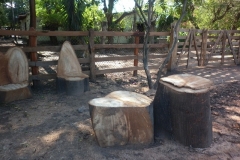 aprovechamiento-forestal-10