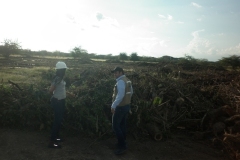 aprovechamiento-forestal-2