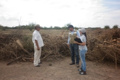 aprovechamiento-forestal-4
