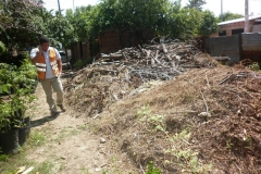 aprovechamiento-forestal-6