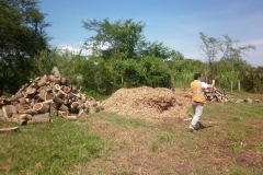 aprovechamiento-forestal-7