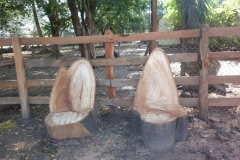 aprovechamiento-forestal-9