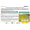 PMT CIERRE DE CARRIL PARA REALIZAR LA CONSTRUCCIÓN DE VIASAUXILIARES DE LA CALLE 7 UBICADO EN EL K04+300 RUTANACIONAL 4517 VARIANTE DEL MUNICIPIO DE EL COPEY.